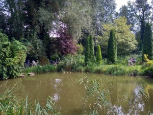 2025-09-09 062 (800x600)